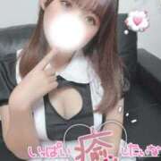 ヒメ日記 2026/09/20 14:18 投稿 アモ バニーコレクション秋田店