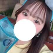 ヒメ日記 2026/09/23 15:55 投稿 アモ バニーコレクション秋田店