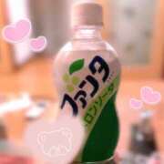 ヒメ日記 2026/08/15 13:36 投稿 はる Lip Trip