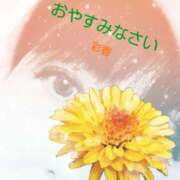 ヒメ日記 2026/06/19 20:46 投稿 藤峰彩香 五十路マダムエクスプレス神戸店(カサブランカグループ)
