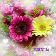 ヒメ日記 2026/06/21 13:42 投稿 藤峰彩香 五十路マダムエクスプレス神戸店(カサブランカグループ)