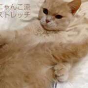ヒメ日記 2026/09/13 06:20 投稿 藤峰彩香 五十路マダムエクスプレス神戸店(カサブランカグループ)