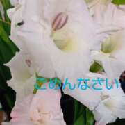 ヒメ日記 2026/10/06 18:20 投稿 藤峰彩香 五十路マダムエクスプレス神戸店(カサブランカグループ)