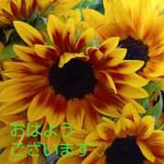 ヒメ日記 2026/10/11 08:24 投稿 藤峰彩香 五十路マダムエクスプレス神戸店(カサブランカグループ)