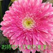 ヒメ日記 2026/10/11 09:26 投稿 藤峰彩香 五十路マダムエクスプレス神戸店(カサブランカグループ)