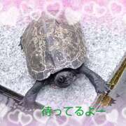 ヒメ日記 2026/10/11 20:00 投稿 藤峰彩香 五十路マダムエクスプレス神戸店(カサブランカグループ)