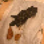 ヒメ日記 2026/08/08 23:16 投稿 ぼたん フェチクラブ