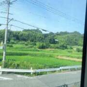 ヒメ日記 2026/07/31 16:12 投稿 あむ ピンクコレクション大阪