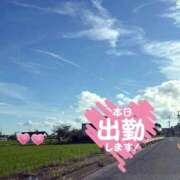 ヒメ日記 2026/09/14 11:12 投稿 葵（あおい） 熟女の風俗最終章 名古屋店