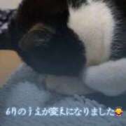 ヒメ日記 2026/06/07 13:24 投稿 ひかる 京都痴女性感フェチ倶楽部