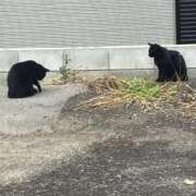 ヒメ日記 2026/06/08 19:14 投稿 ひかる 京都痴女性感フェチ倶楽部