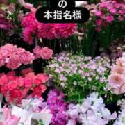 黒崎まりあ 黒崎まりあの本指名様 華椿