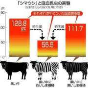 ヒメ日記 2026/09/16 08:16 投稿 黒崎まりあ 華椿