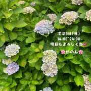 ヒメ日記 2026/07/04 20:16 投稿 かのん 紳士の嗜み 立川