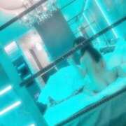 ヒメ日記 2026/05/28 12:52 投稿 れあん 素人人妻オフィス東金店
