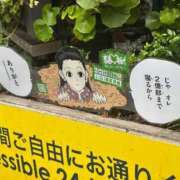 ヒメ日記 2026/09/08 17:13 投稿 MAKINA（まきな） UTAKATA