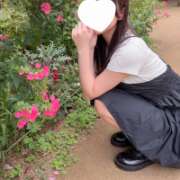ヒメ日記 2026/09/17 15:08 投稿 ひより★未開発なアイドル系JD Chloe五反田本店 S級素人清楚系デリヘル