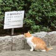 ヒメ日記 2026/09/25 18:54 投稿 さやか チェリーデイズ新宿店