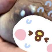 ヒメ日記 2026/09/01 14:49 投稿 なつ 大阪和泉ちゃんこ