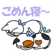 ヒメ日記 2026/05/22 07:40 投稿 つぐみ奥様 川崎人妻ソープ Mint(ミント)