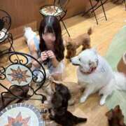 ヒメ日記 2026/06/17 15:18 投稿 なのは【体験入店】 Minette ～ミネット～ 高崎店