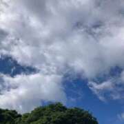 ヒメ日記 2026/06/07 16:01 投稿 山田すみれ マダム撫子(なでしこ)～麗しの楽園ソープ～