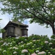ヒメ日記 2026/06/08 15:21 投稿 山田すみれ マダム撫子(なでしこ)～麗しの楽園ソープ～
