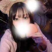 ヒメ日記 2026/05/19 01:00 投稿 すい JAPAN CLUB BUNNY LOUNGE
