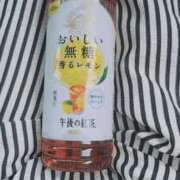 ヒメ日記 2026/06/23 12:29 投稿 おとは【高山出発】 高山キャッツ