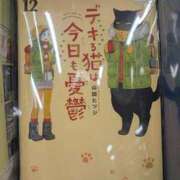 ヒメ日記 2026/08/26 18:29 投稿 おとは【高山出発】 高山キャッツ