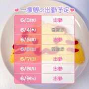 ヒメ日記 2026/06/03 07:32 投稿 りりぃ 桃李（とうり）