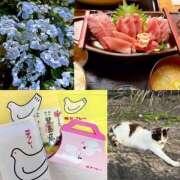 ヒメ日記 2026/06/11 23:32 投稿 りりぃ 桃李（とうり）