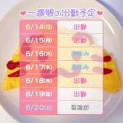 ヒメ日記 2026/06/14 20:02 投稿 りりぃ 桃李（とうり）
