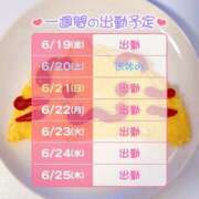 ヒメ日記 2026/06/19 08:09 投稿 りりぃ 桃李（とうり）
