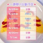ヒメ日記 2026/06/25 08:02 投稿 りりぃ 桃李（とうり）