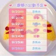 ヒメ日記 2026/09/20 20:02 投稿 りりぃ 桃李（とうり）