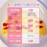 ヒメ日記 2026/10/09 08:28 投稿 りりぃ 桃李（とうり）