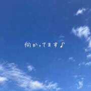 ヒメ日記 2026/08/24 12:14 投稿 もも 素人妻達☆マイふぇらレディー