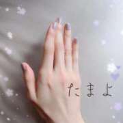 ヒメ日記 2026/08/12 11:53 投稿 たまよ002(tamayo) 健康寿命を延ばす！恋愛コミュニティ otsto(オトスト)