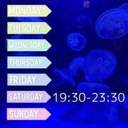 ヒメ日記 2026/06/04 00:00 投稿 うらら アイドルドリーム