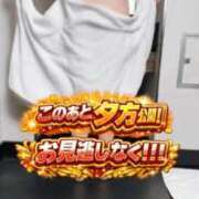 ヒメ日記 2026/06/17 17:51 投稿 【G】かや ウルトラセレブリティ