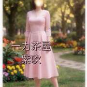 ヒメ日記 2026/05/25 12:13 投稿 紫吹(しぶき) 一力茶屋