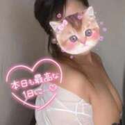 ヒメ日記 2026/08/04 07:35 投稿 ありす 群馬高崎前橋ちゃんこ