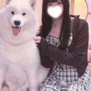 ヒメ日記 2026/09/14 12:34 投稿 この 素人美少女専門　新横浜アンジェリーク（アンジェリークグループ）