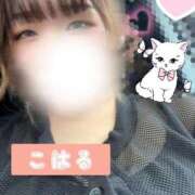 ヒメ日記 2026/08/28 13:54 投稿 こはる 千葉北インターちゃんこ