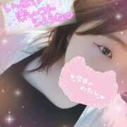 ヒメ日記 2026/06/06 15:29 投稿 さら ぽっちゃり巨乳専門店ちゃんこ八王子店