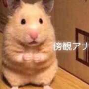 ヒメ日記 2026/06/08 14:02 投稿 ★豆乃なの★ CLUB39（クラブサンキュー）