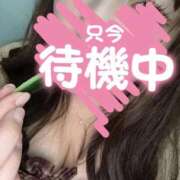 ヒメ日記 2026/05/18 16:29 投稿 なな 人妻熟女の秘密の関係　船橋店