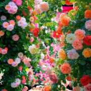 ヒメ日記 2026/07/08 18:18 投稿 千奈都(ちなつ) PLUS十三店