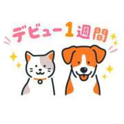 美月 もえ デビュー1週間✨ ハレ系 福岡DEまっとる。＆ひよこ治療院